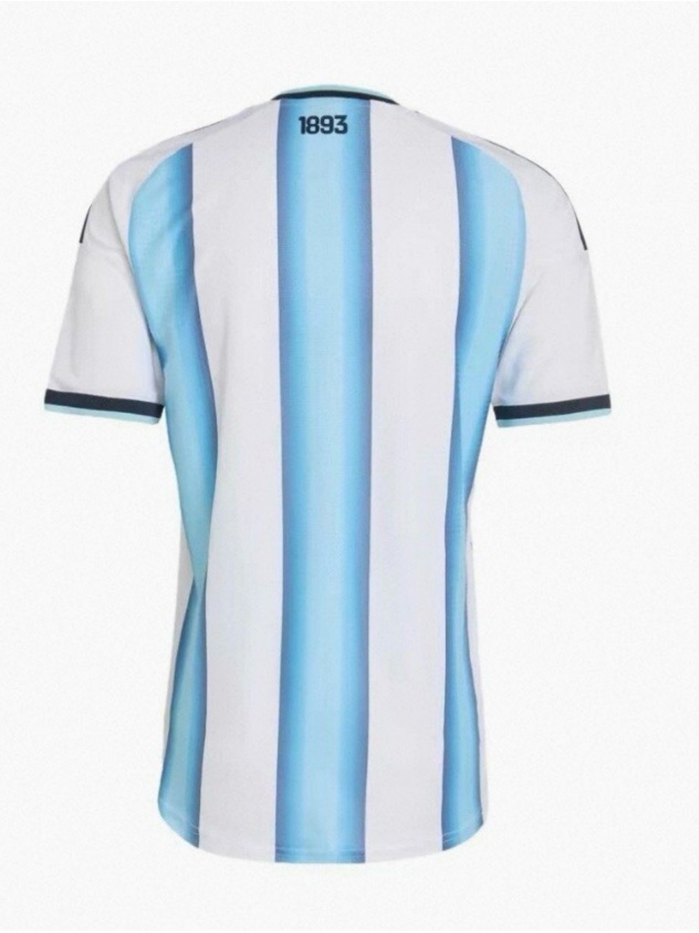 2026 world cup Argentina National Team Home Jersey - Picture 2 of 5